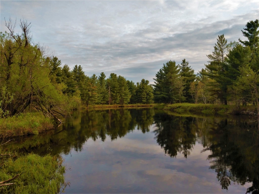 Evening along the Oswegatchie Nature Up North